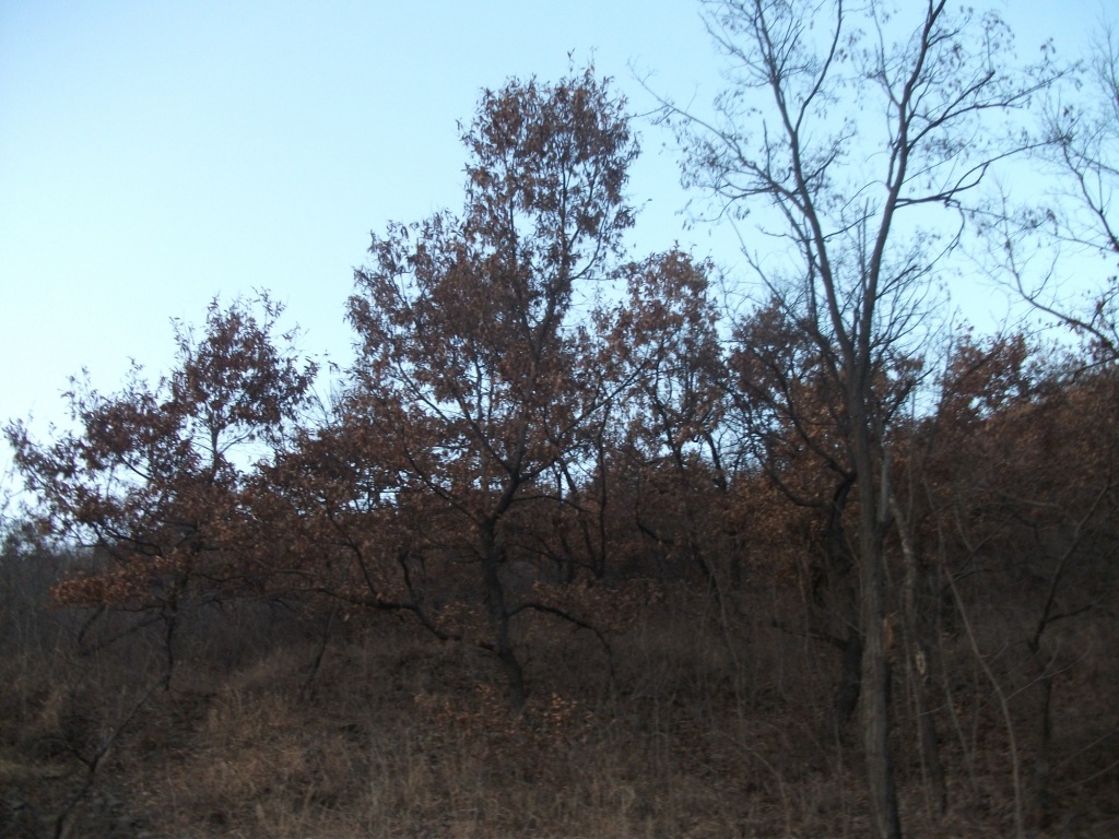 DSCF5072.JPG