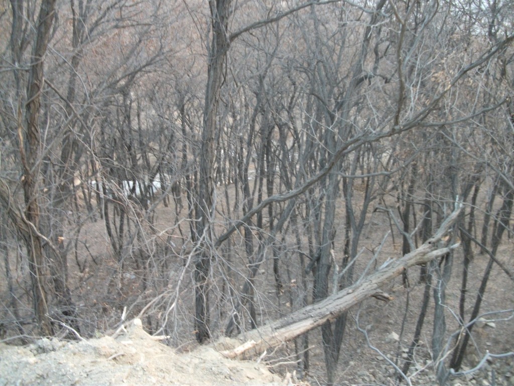 DSCF5069.JPG