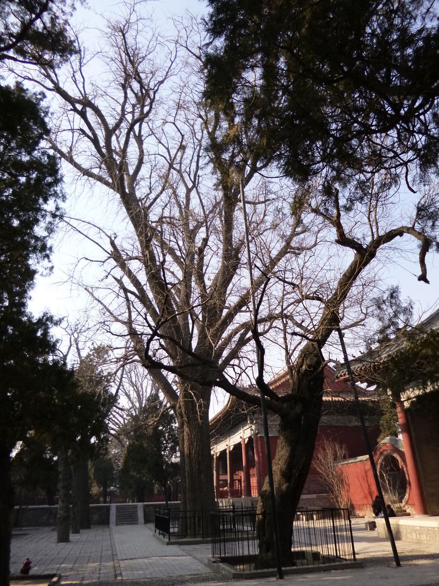 P1010523.JPG