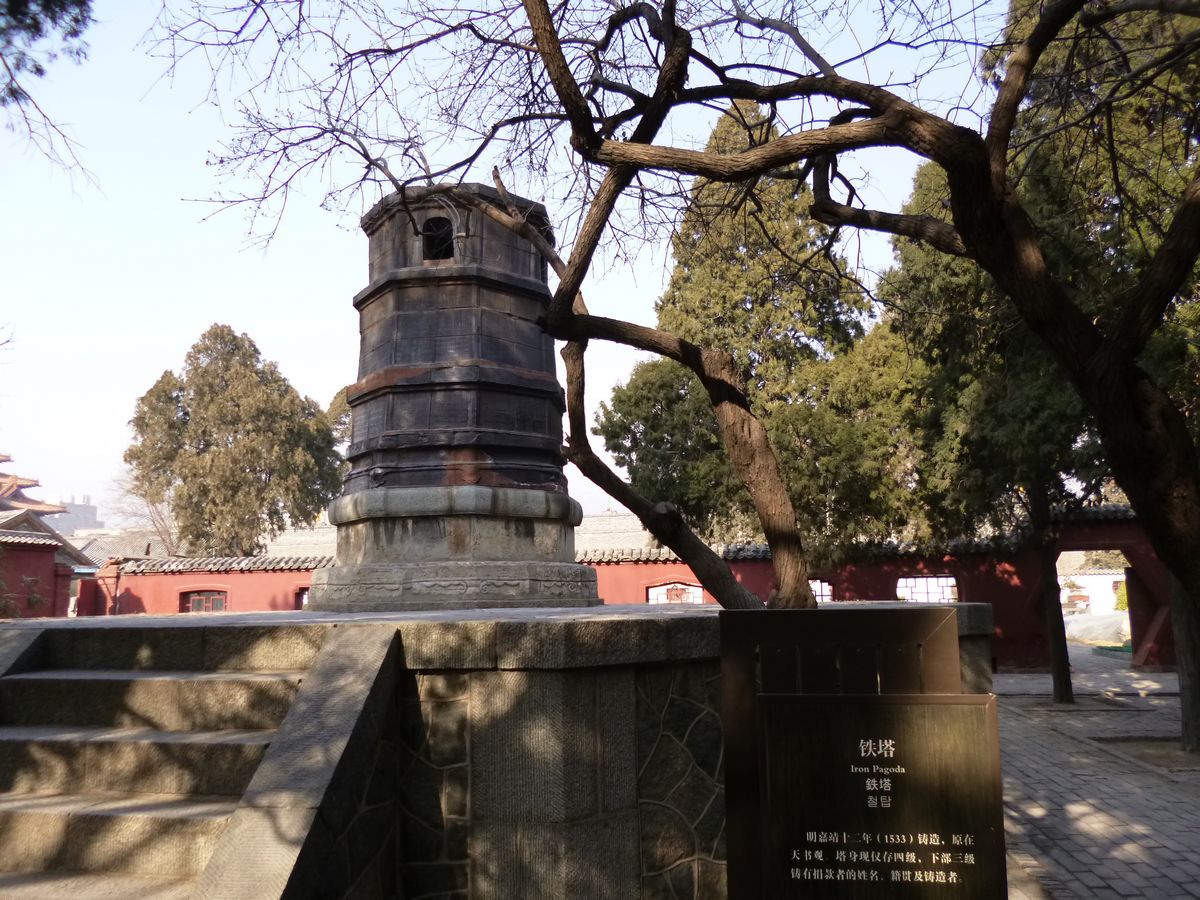 P1010527.JPG