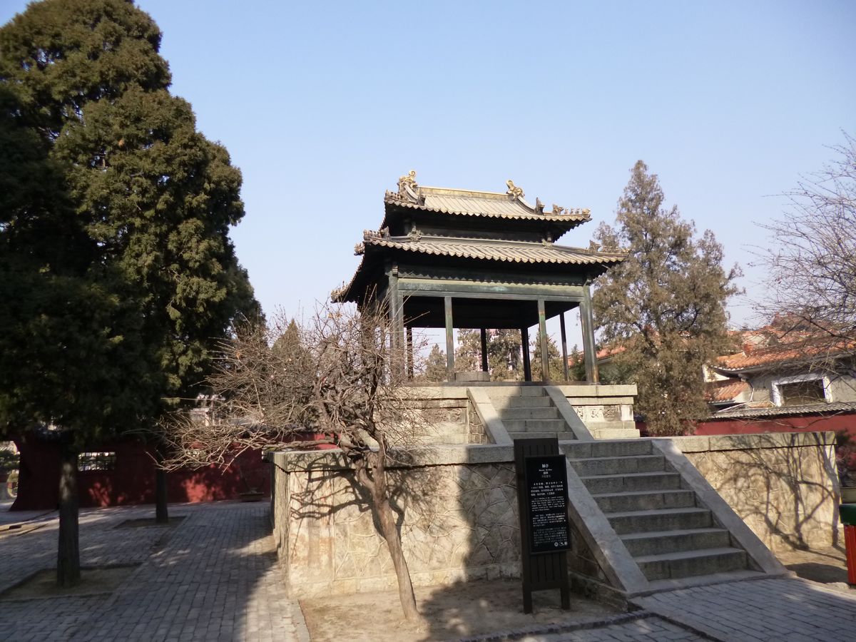 P1010536.JPG