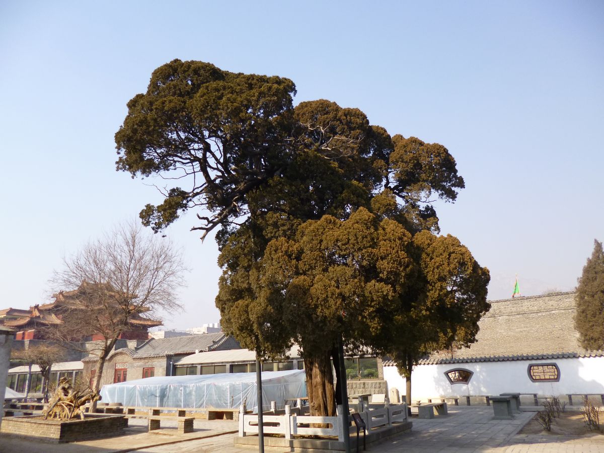 P1010533.JPG