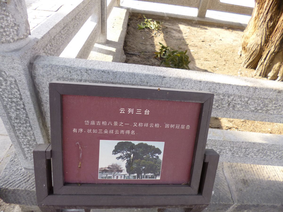 P1010531.JPG