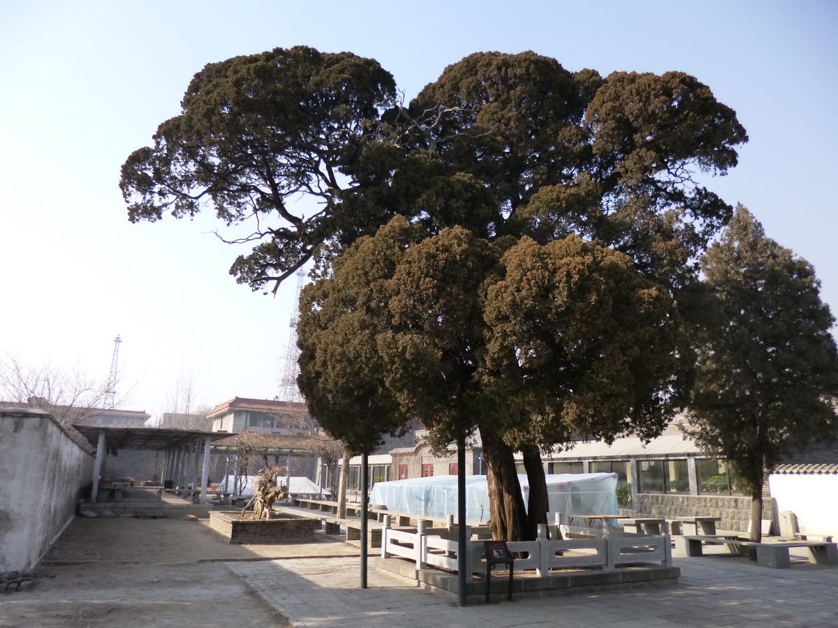 P1010532.JPG