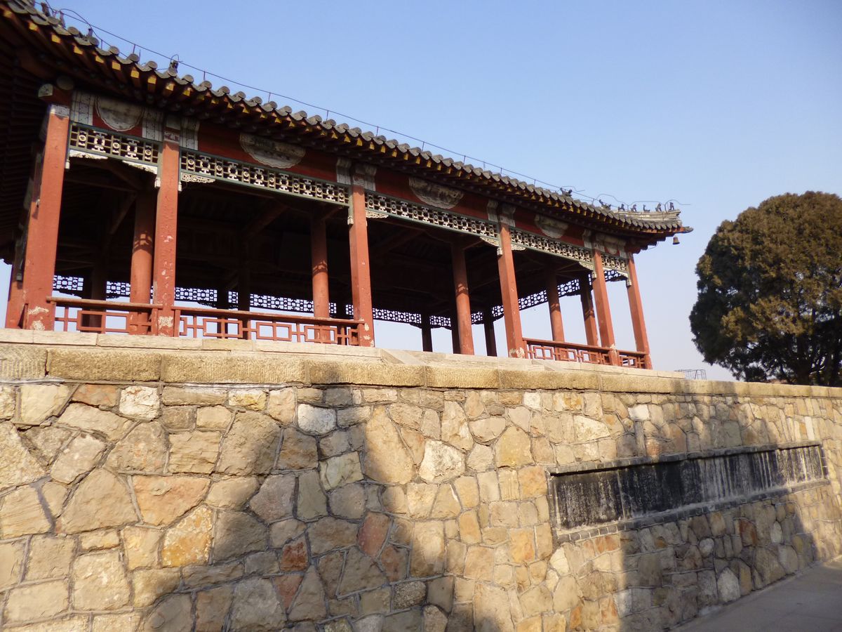 P1010566.JPG