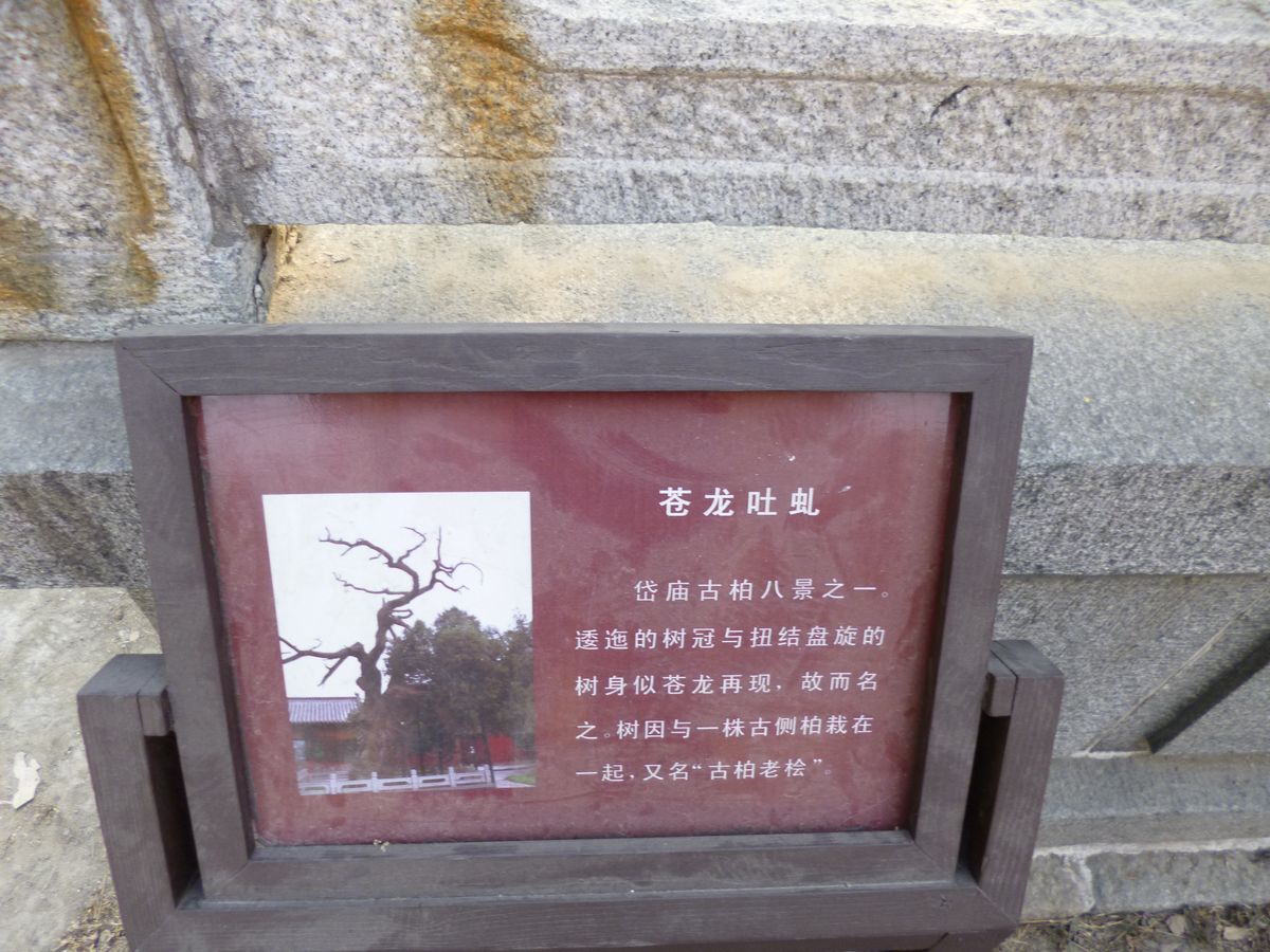 P1010578.JPG
