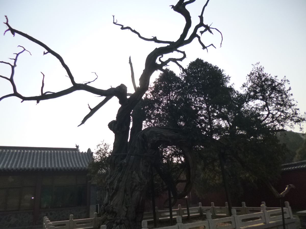 P1010579.JPG