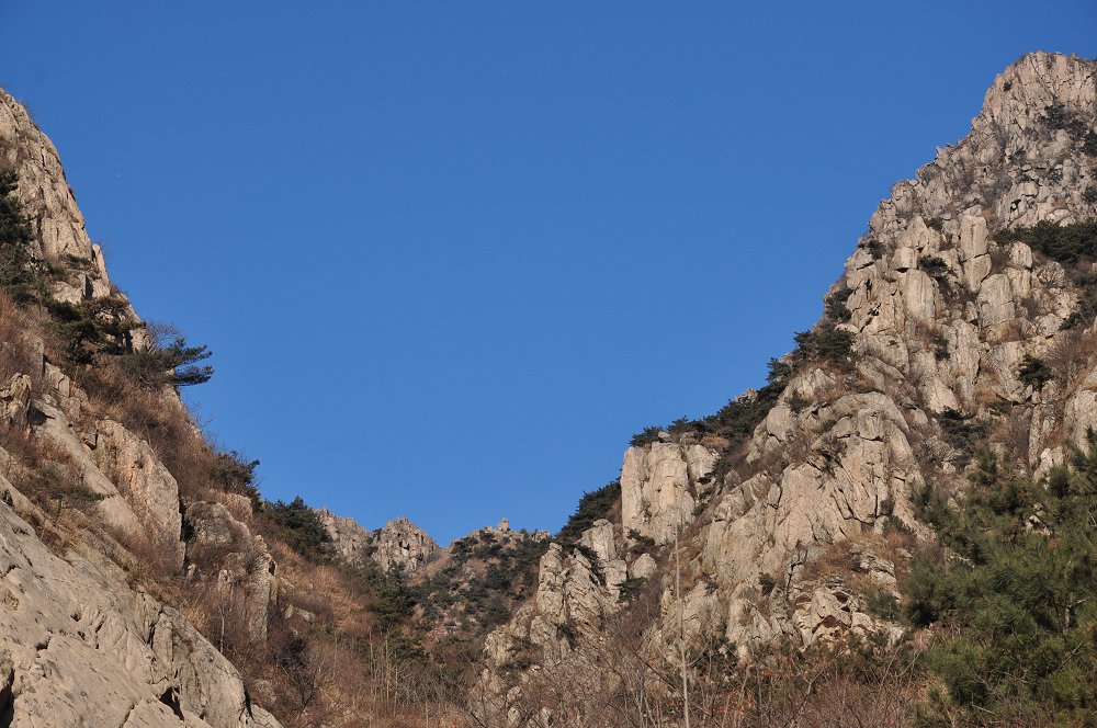 DSC_6920.JPG