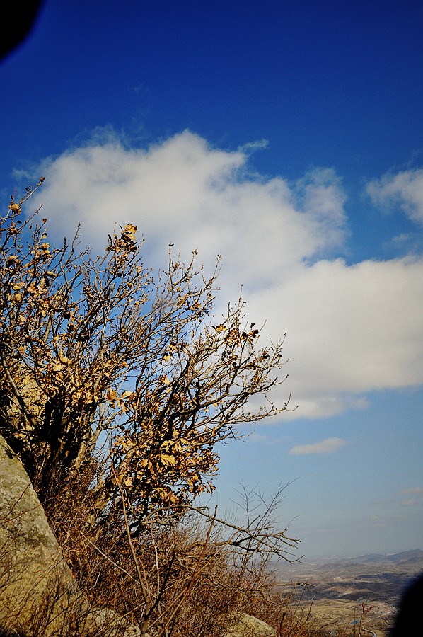 _DSC0105_副本.jpg