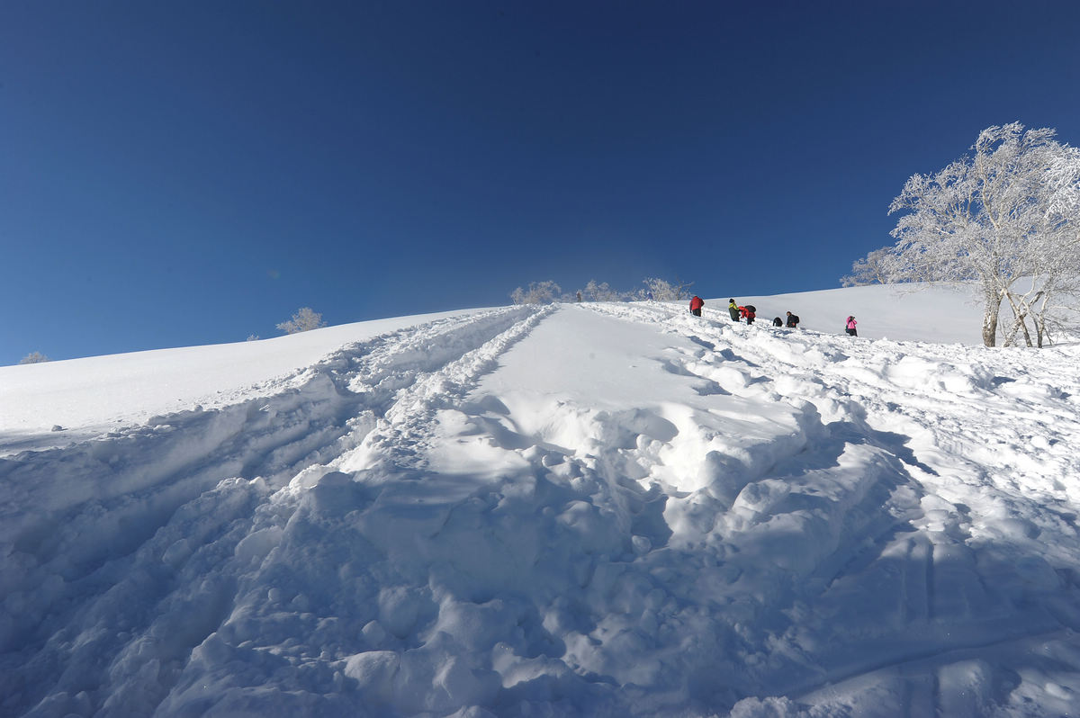 大秃顶子山 (1).jpg