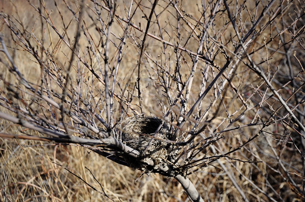 _DSC0123_副本.jpg
