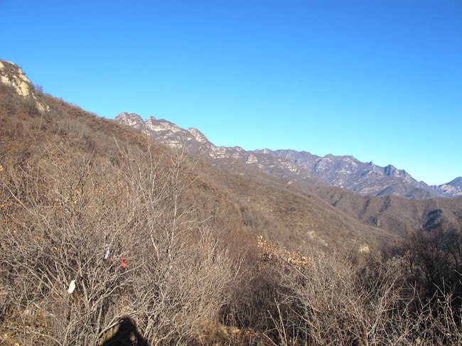 IMG_5717.JPG