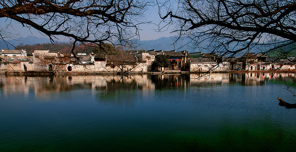 DSC_7919.jpg