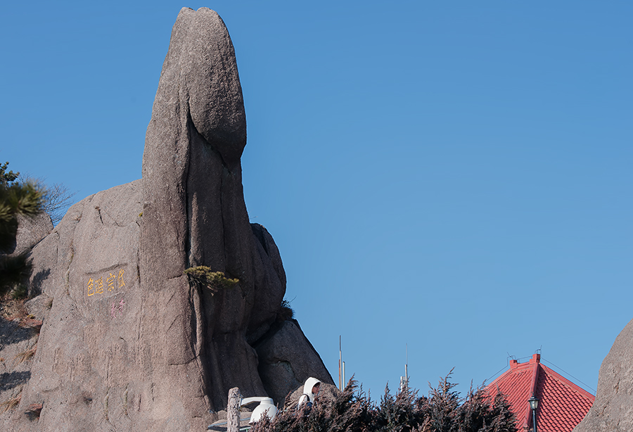 DSC_7930.jpg