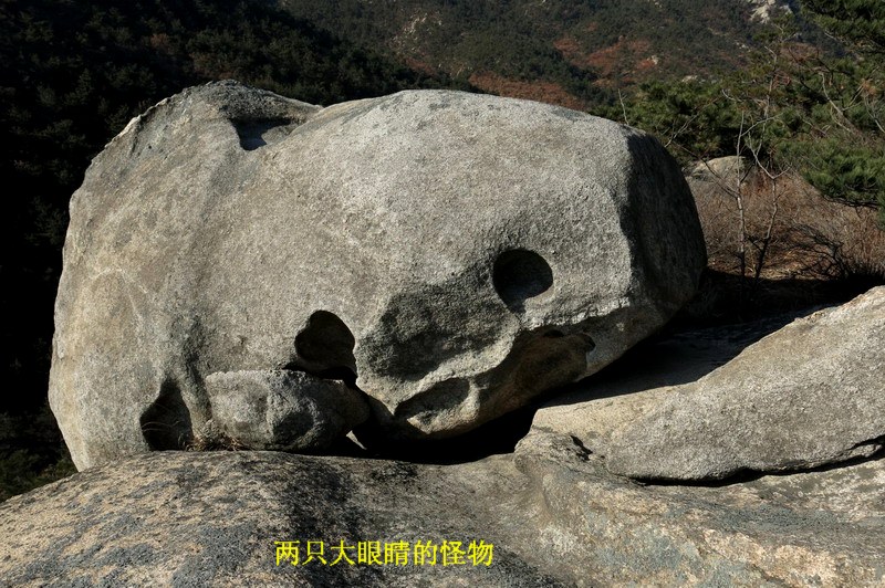 IMG_3422_缩小大小.JPG