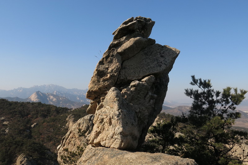 IMG_3498_缩小大小.JPG