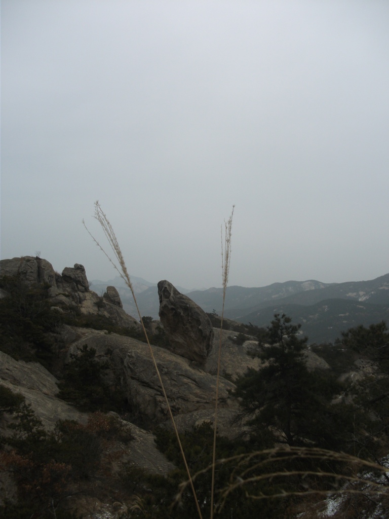 DSCF5356.JPG