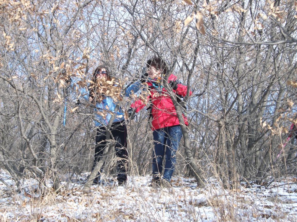 DSCF5466.JPG