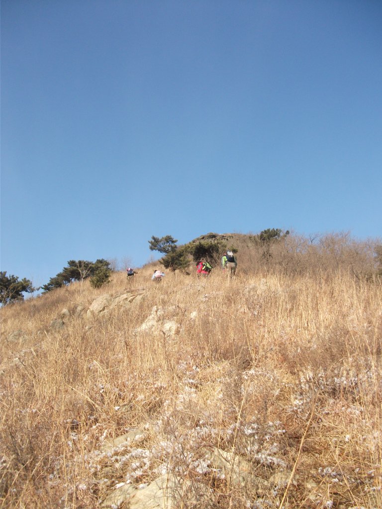 DSCF5428.JPG