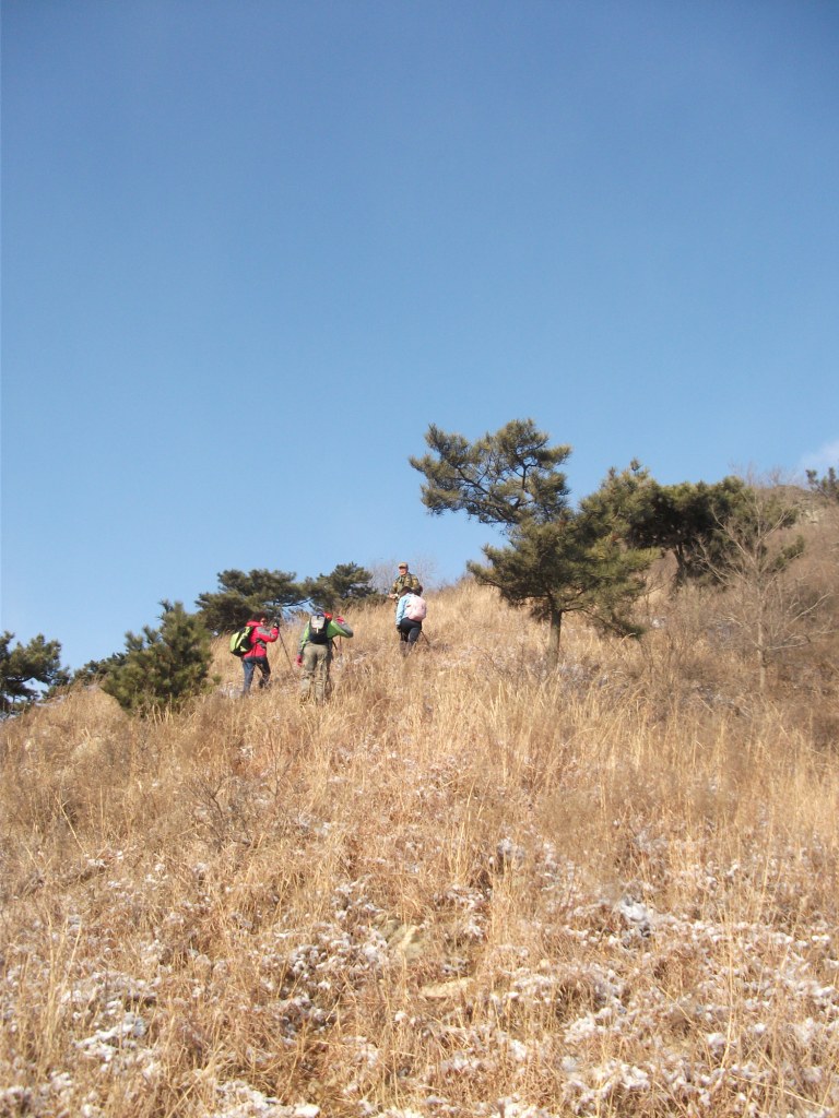 DSCF5430.JPG