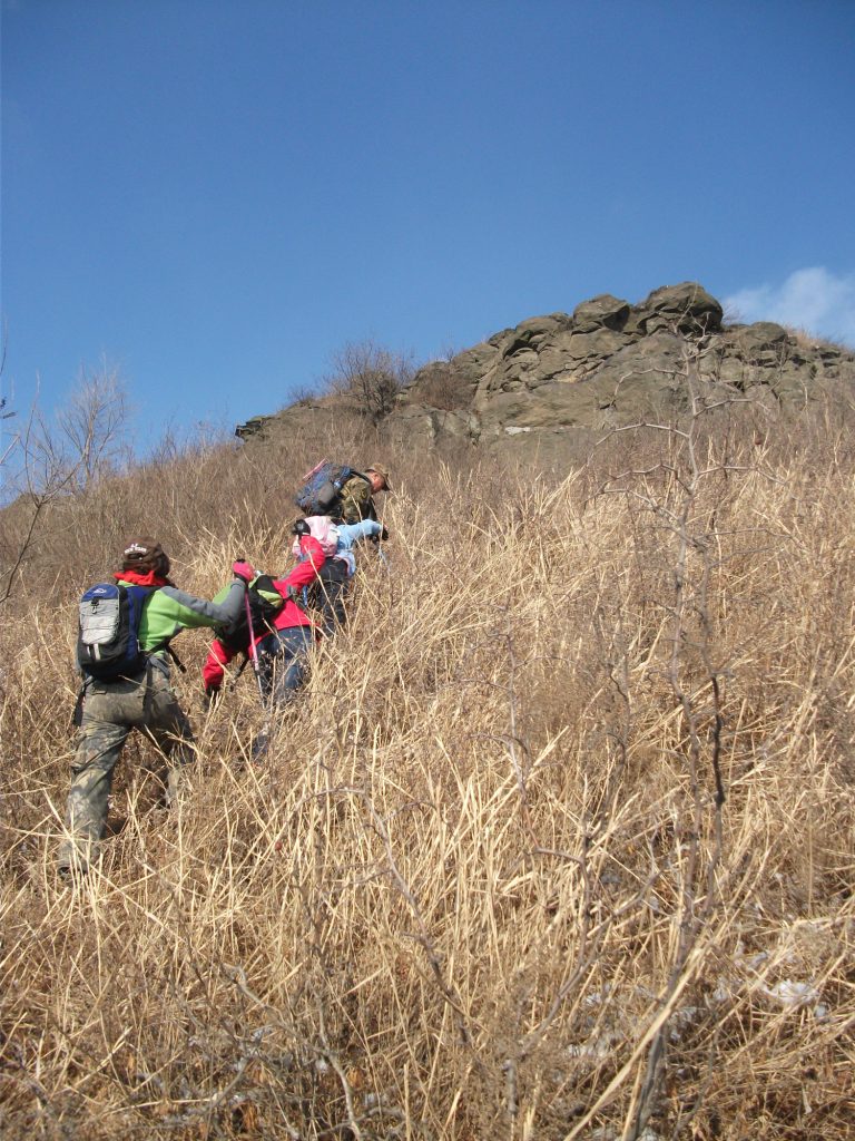 DSCF5437.JPG