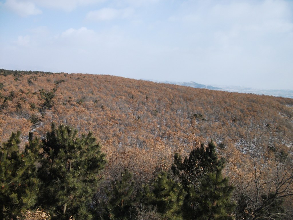 DSCF5475.JPG