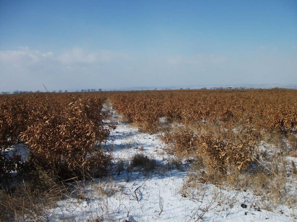 DSCF5500.JPG
