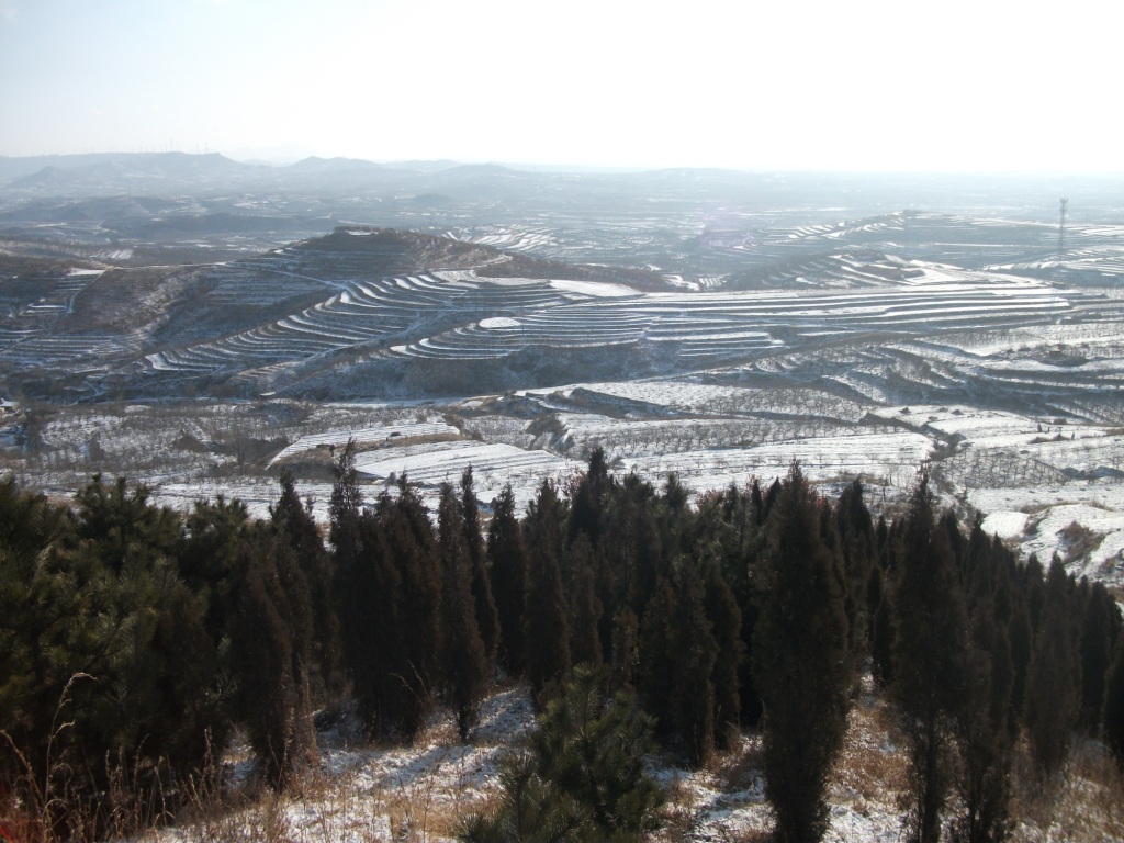DSCF5426.JPG