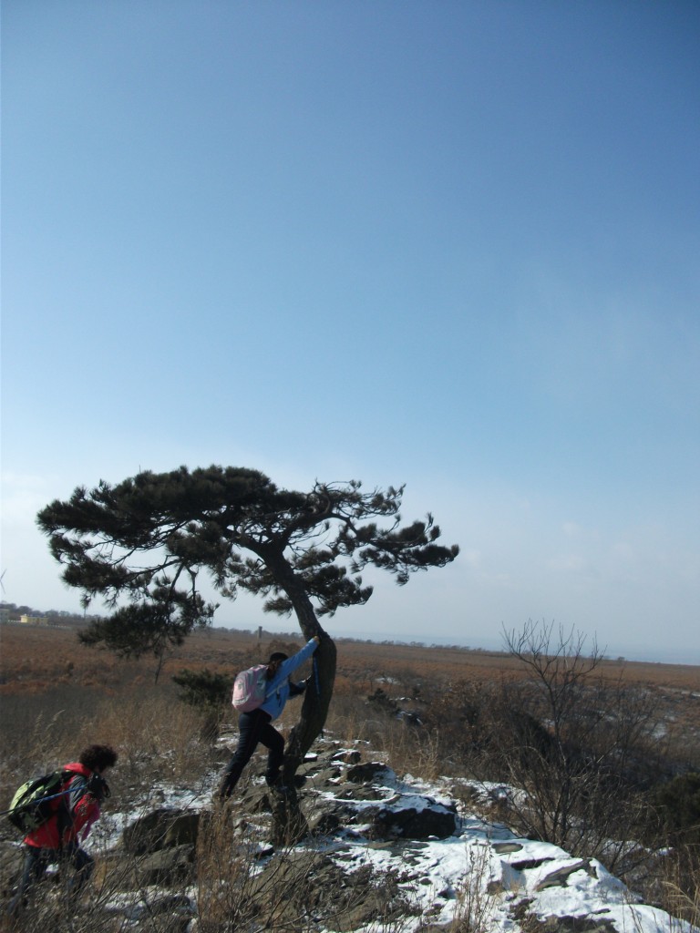 DSCF5489.JPG
