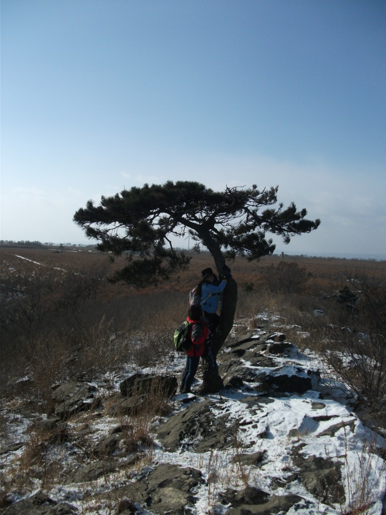 DSCF5490.JPG