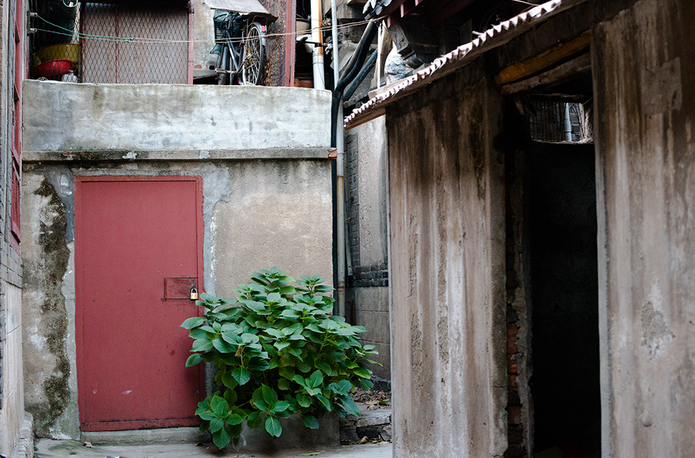 DSC_7496.jpg