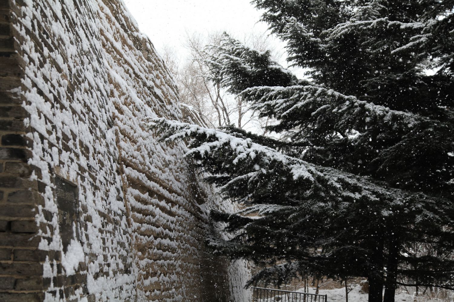 西炮台雪景 030.jpg