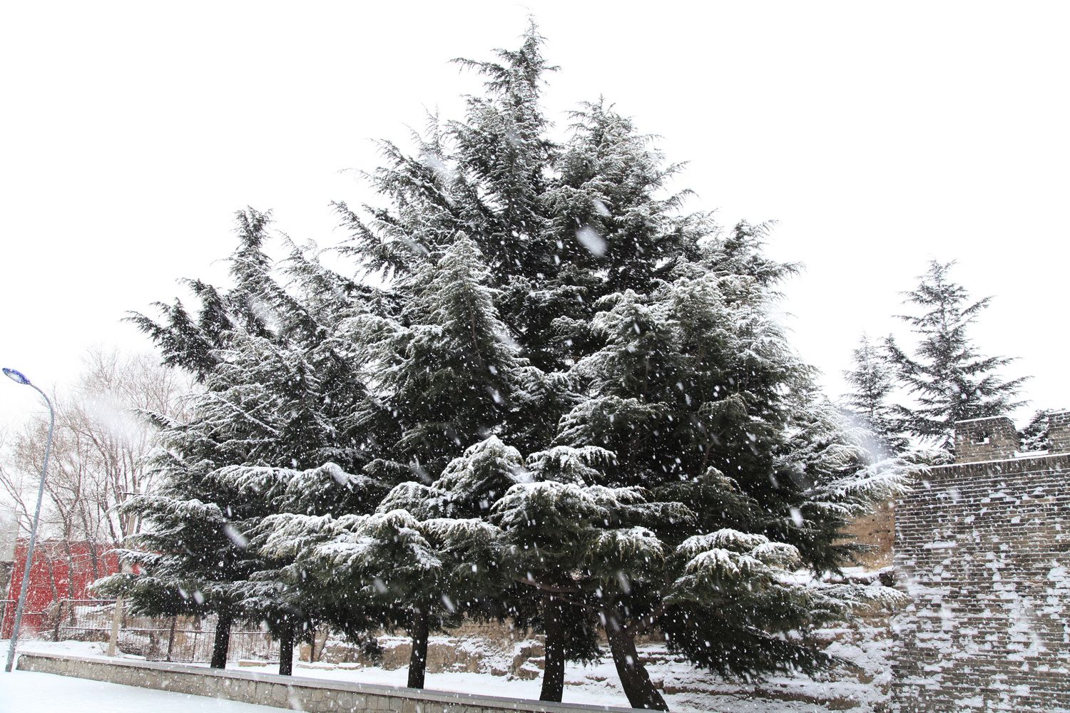 西炮台雪景 033.jpg