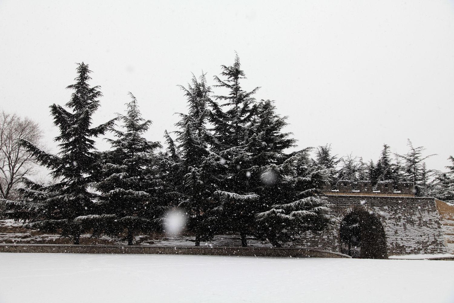 西炮台雪景 039.jpg
