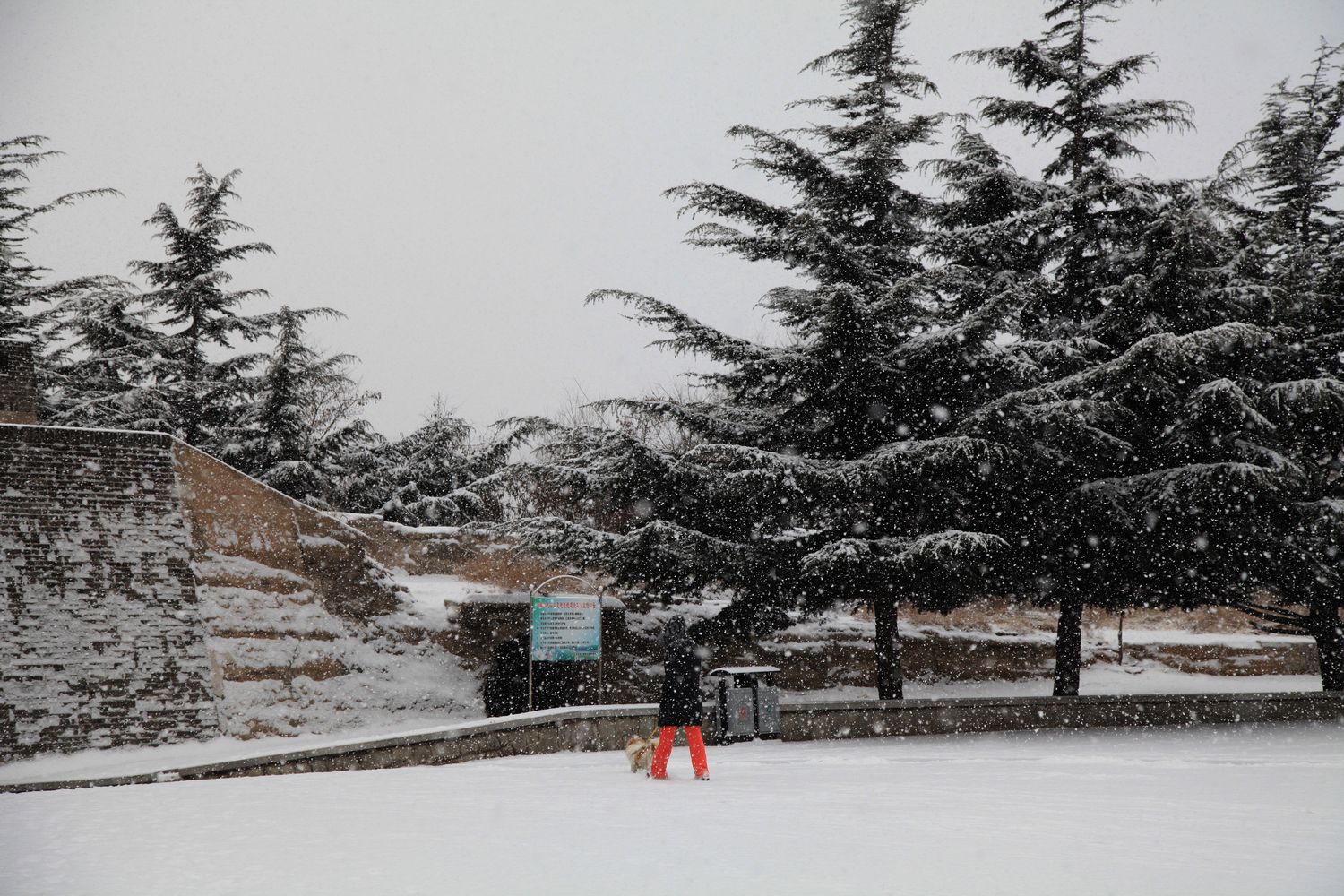 西炮台雪景 040.jpg