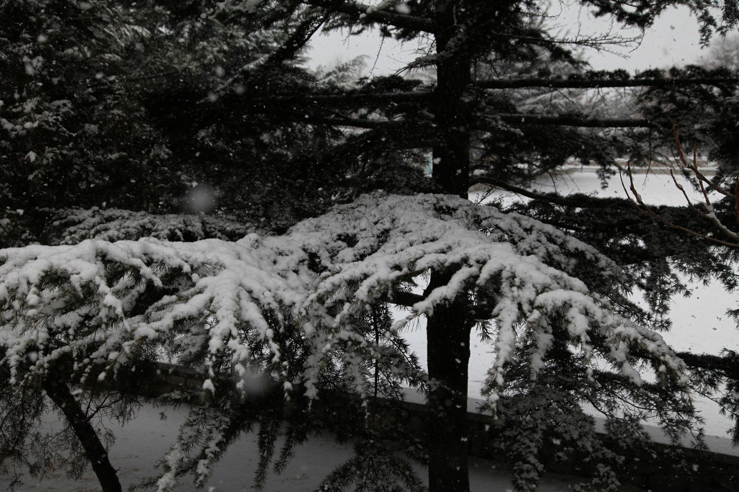 西炮台雪景 043.jpg