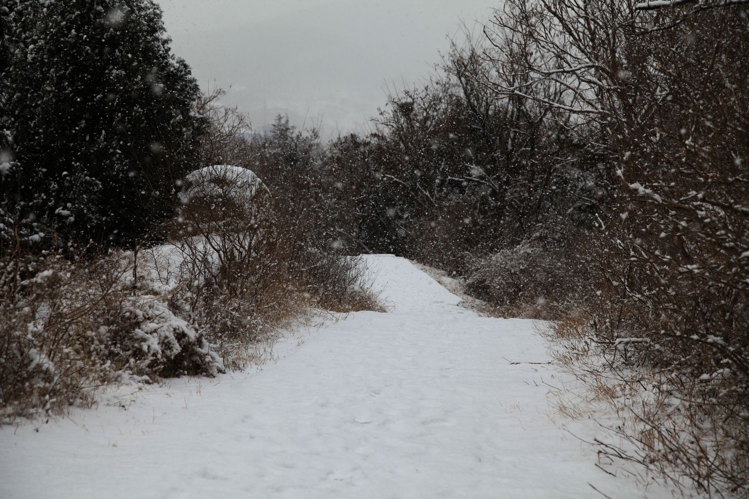 西炮台雪景 045.jpg