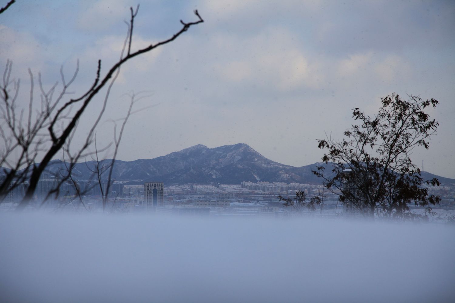 西炮台雪景 075.jpg