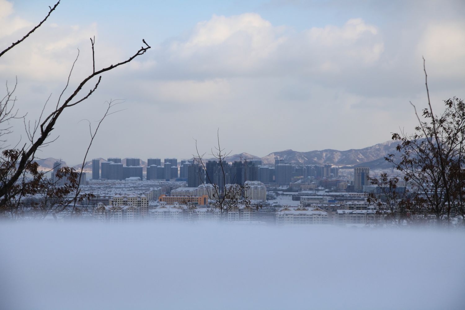 西炮台雪景 092.jpg