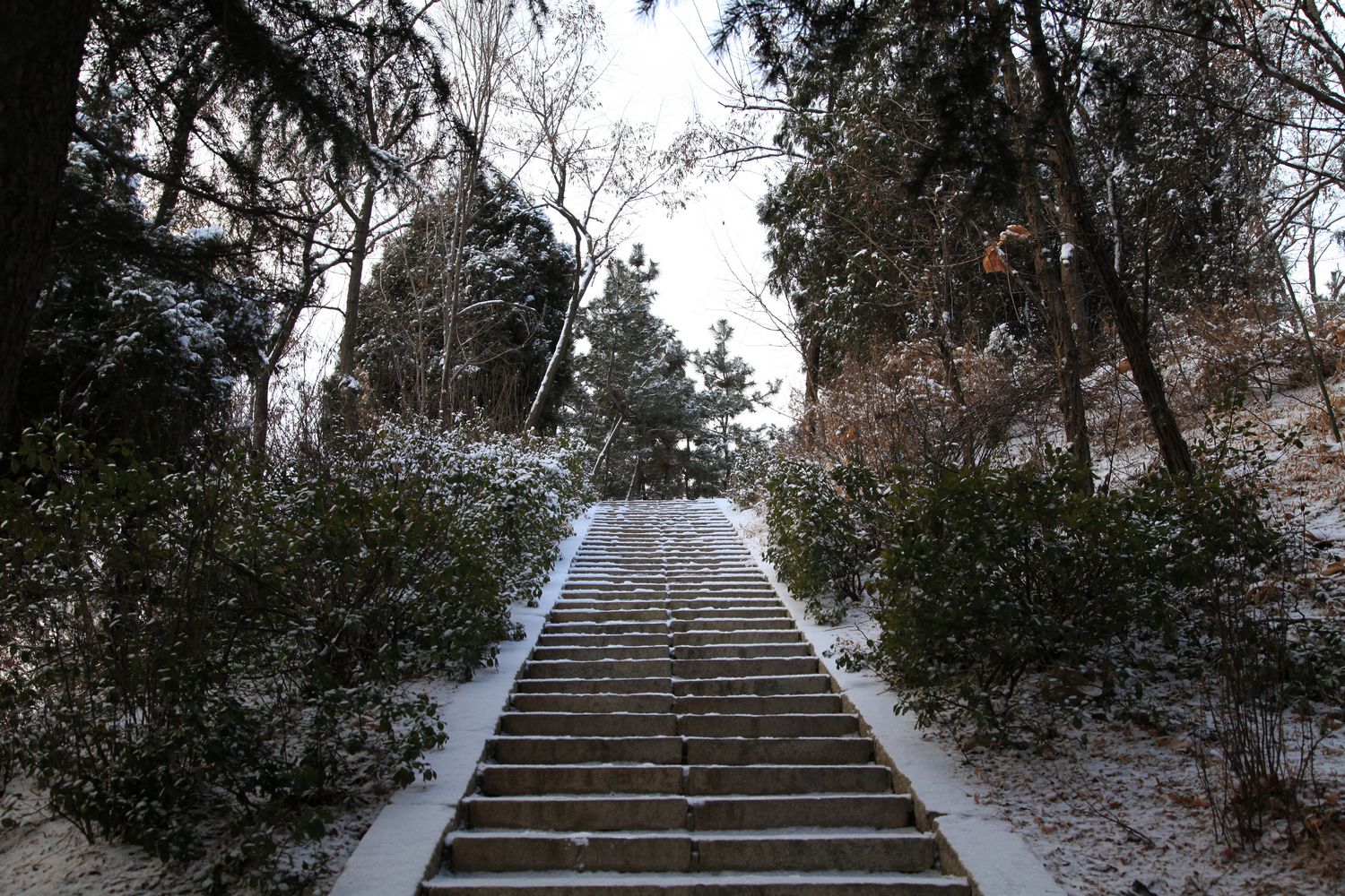 西炮台雪景 121.jpg
