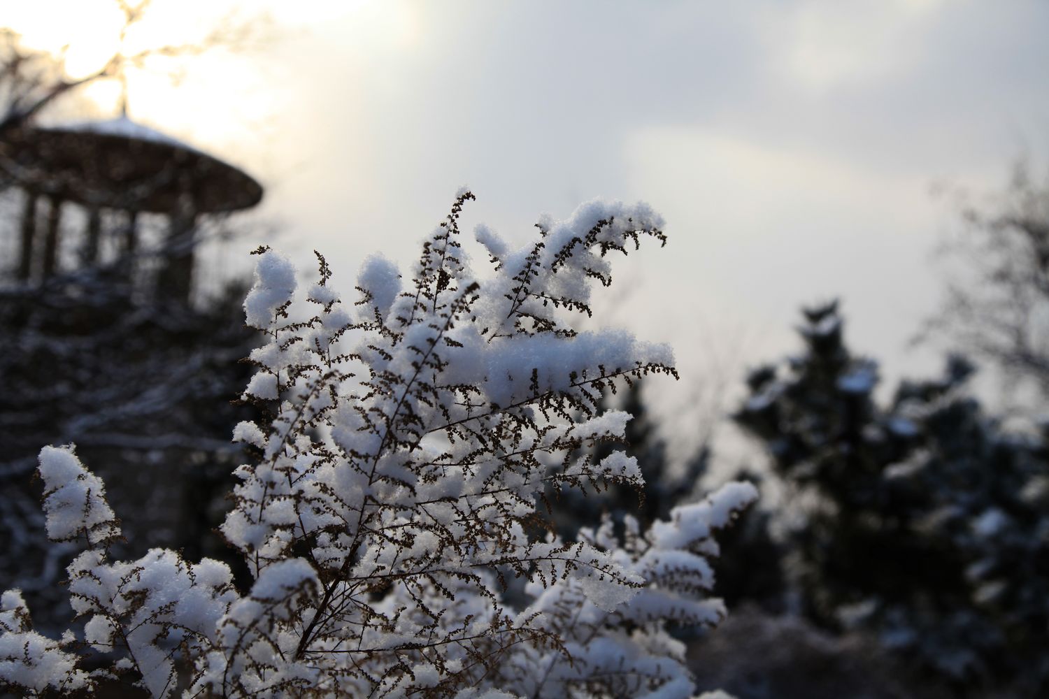 西炮台雪景 141.jpg