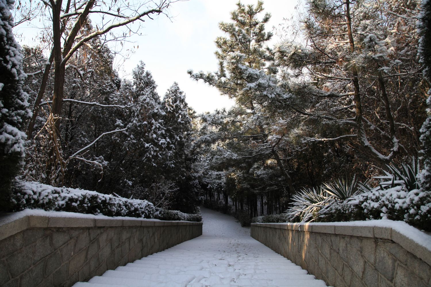 西炮台雪景 164.jpg