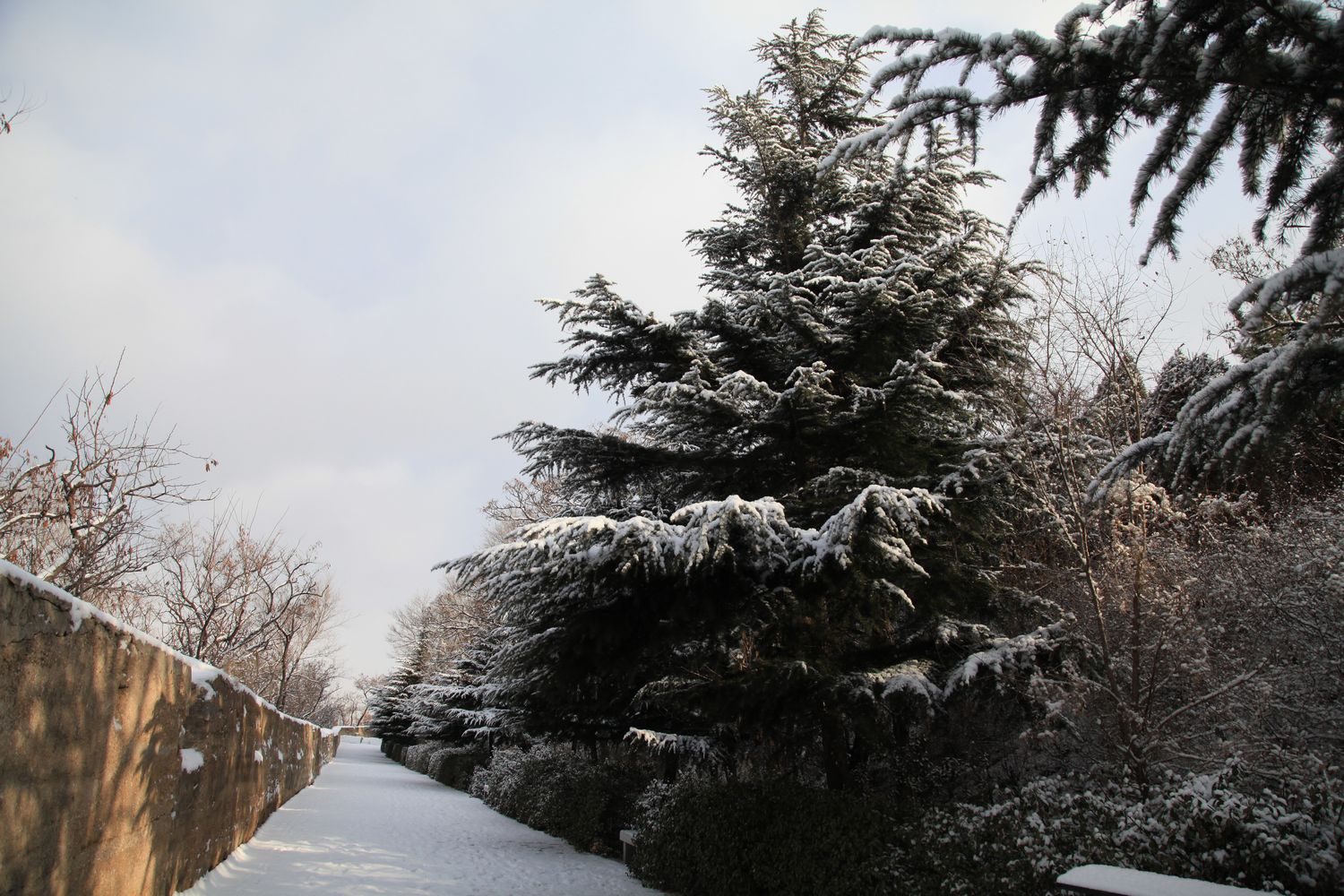 西炮台雪景 175.jpg