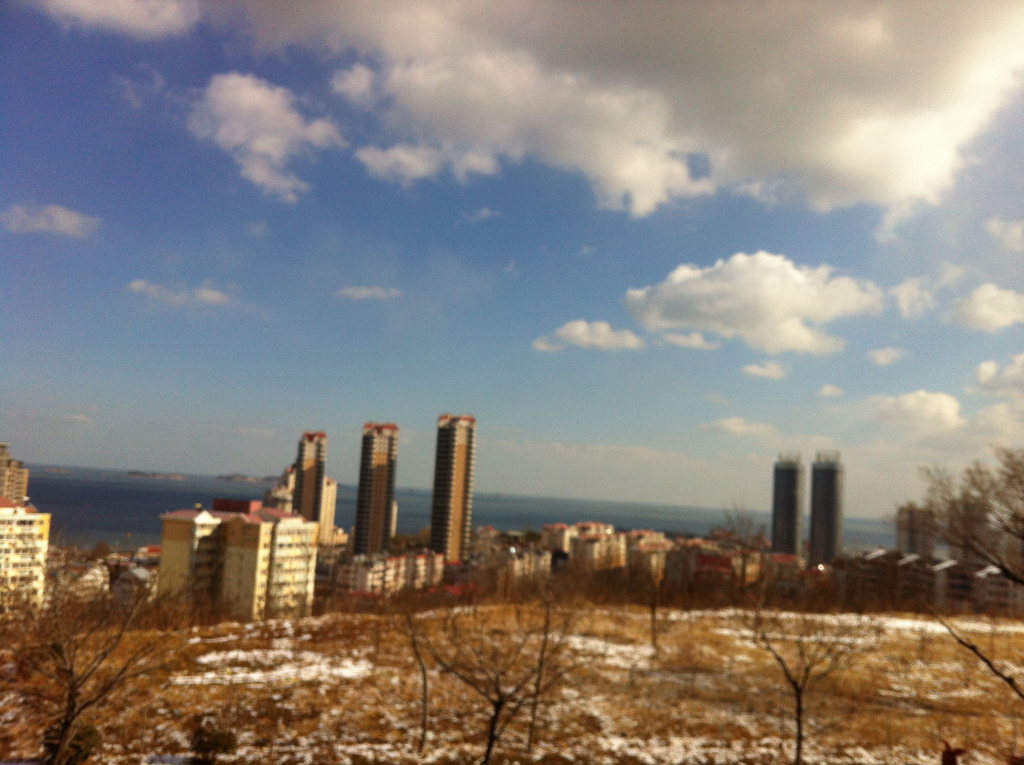 IMG_7798.jpg