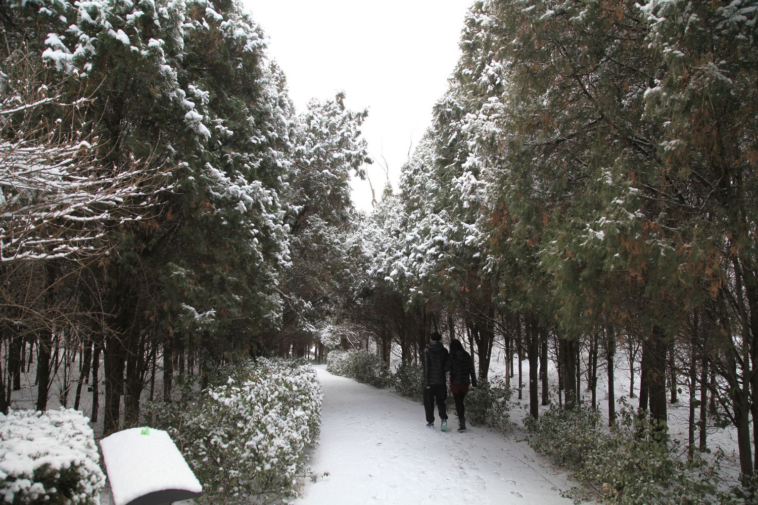 西炮台雪景 199.jpg