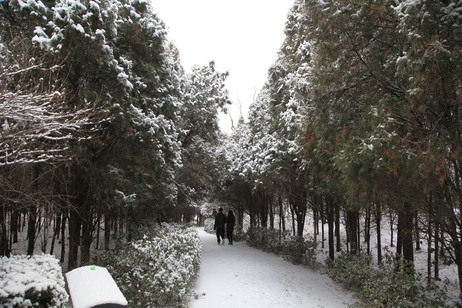 西炮台雪景 200.jpg