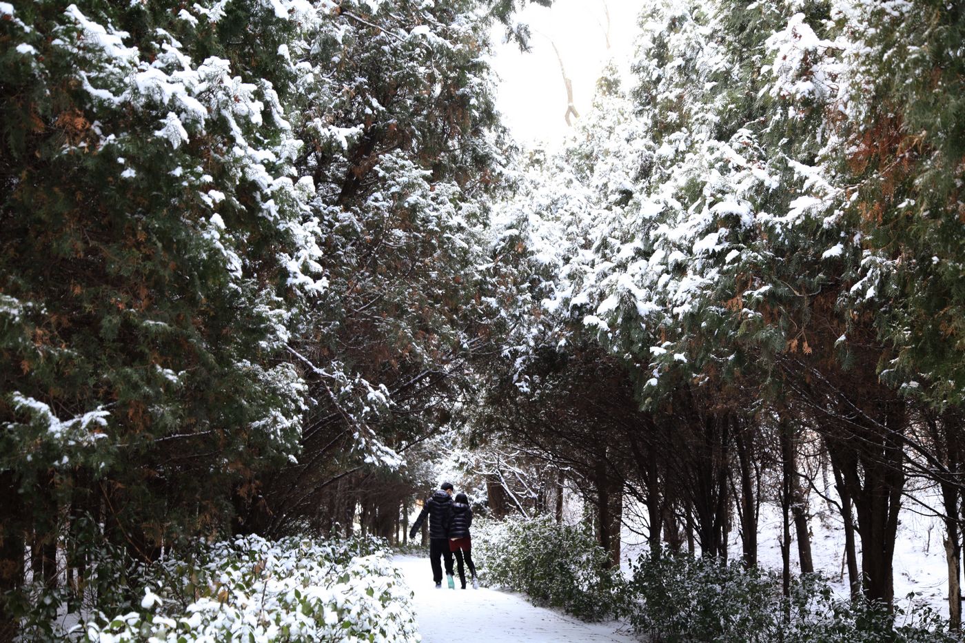 西炮台雪景 201.jpg