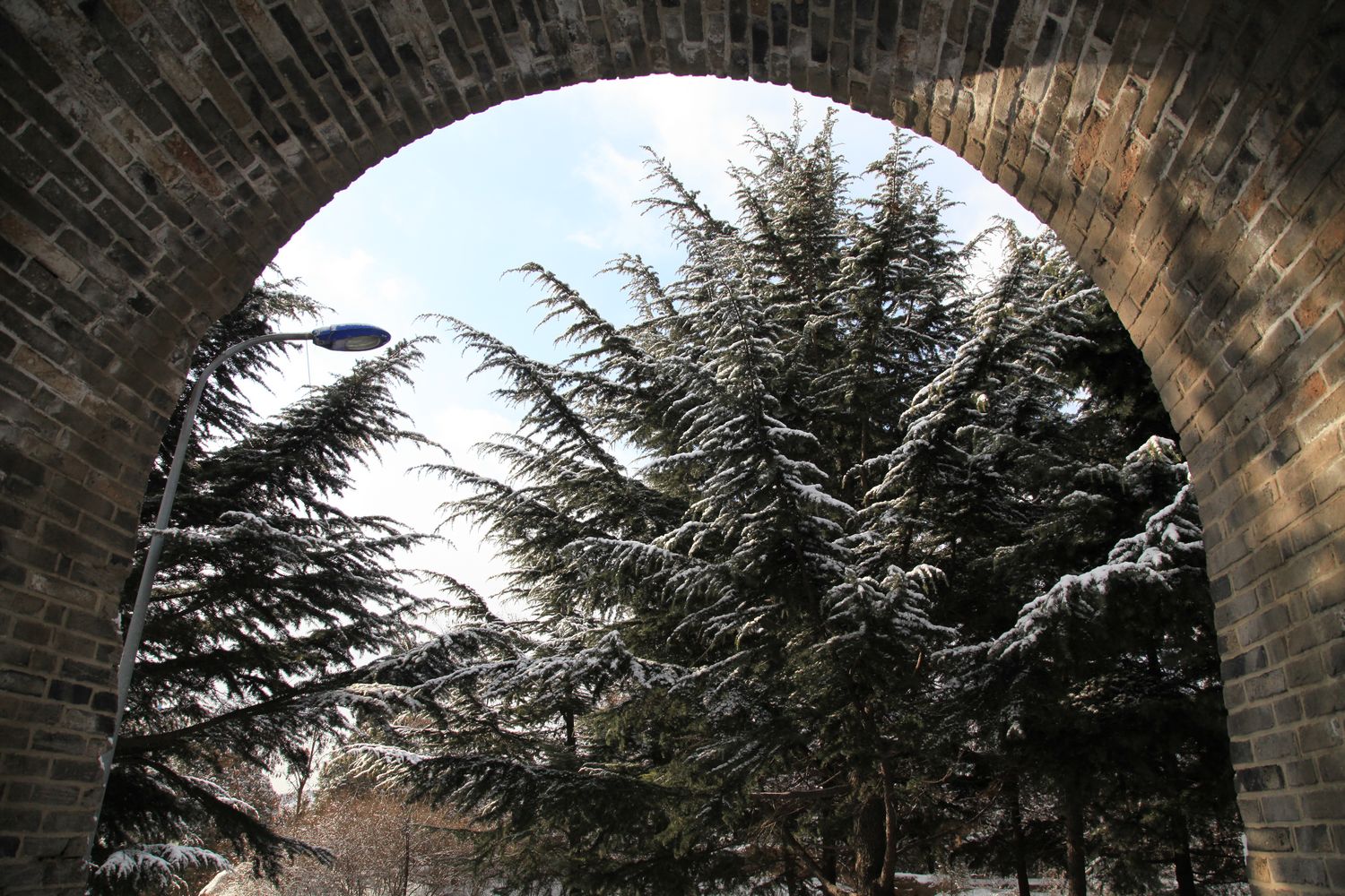 西炮台雪景 240.jpg