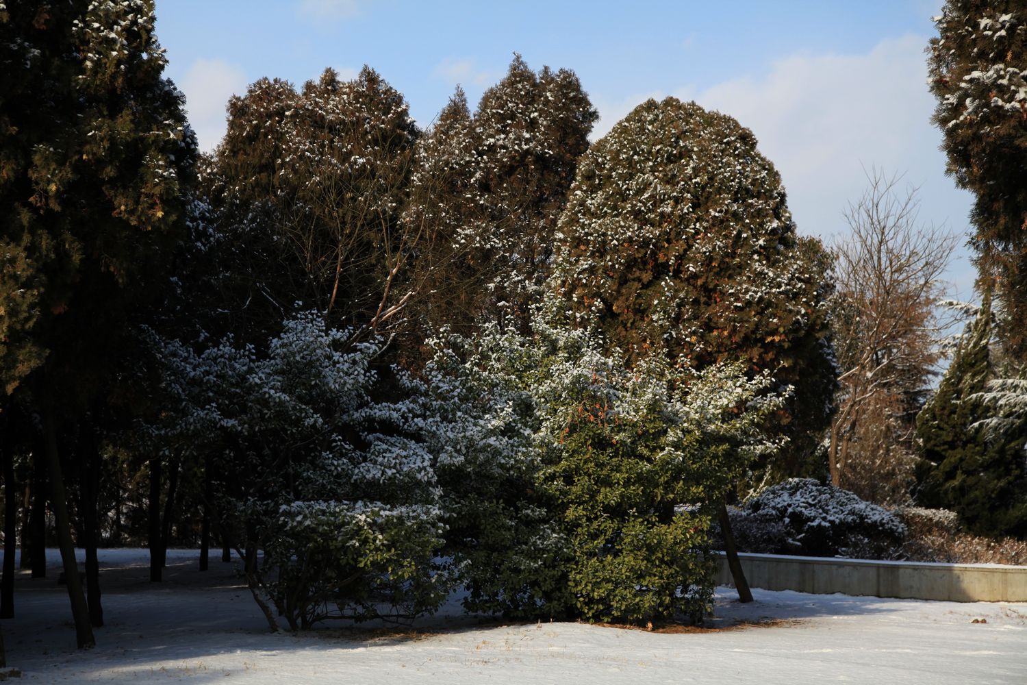西炮台雪景 274.jpg