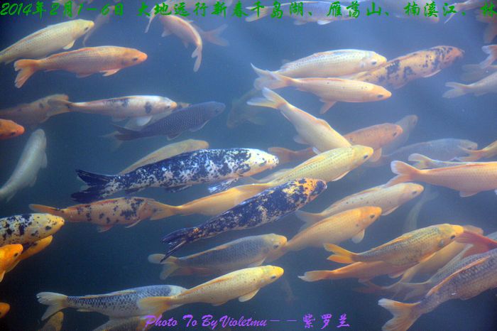 545.jpg
